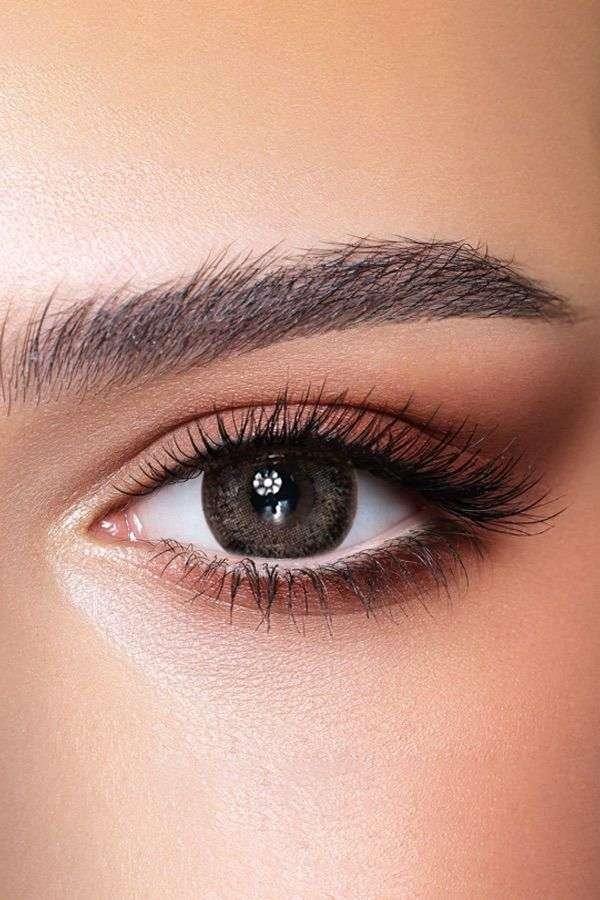Ash Brown image 1