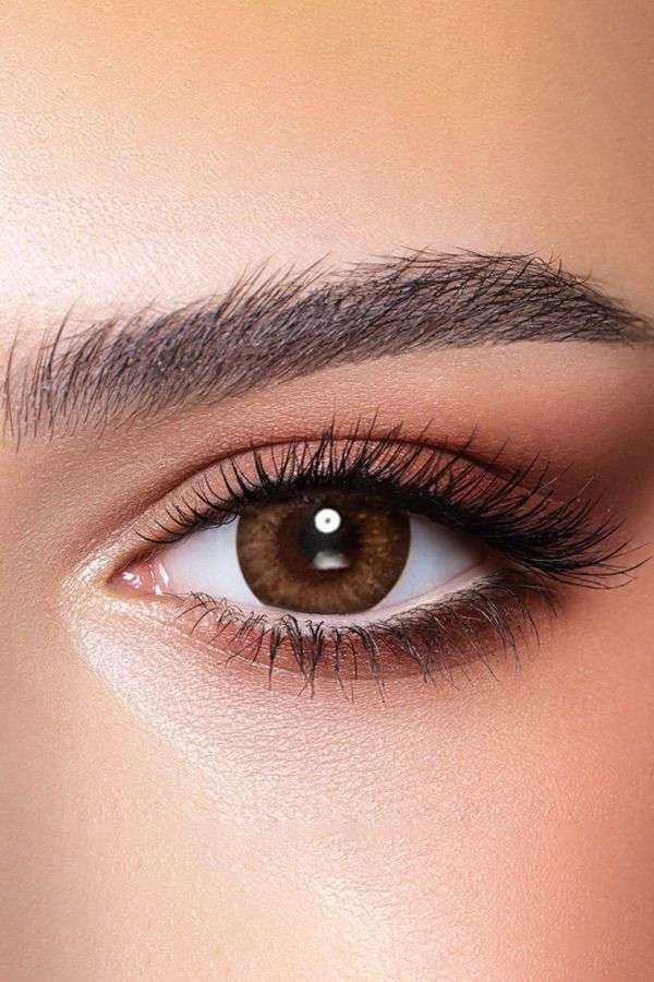 Almond Brown image 1