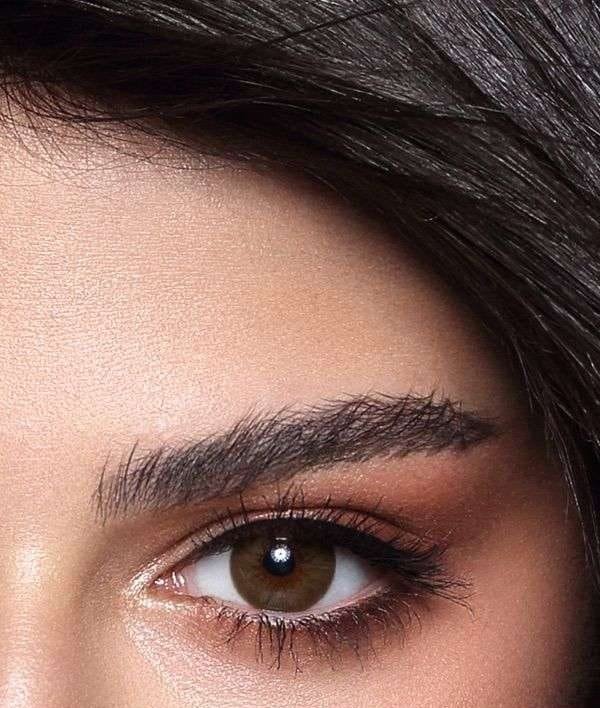 Brown Shadow image 0