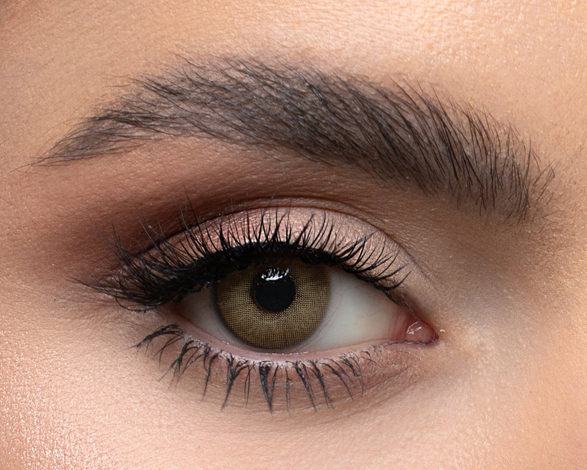 BROWN HAZEL