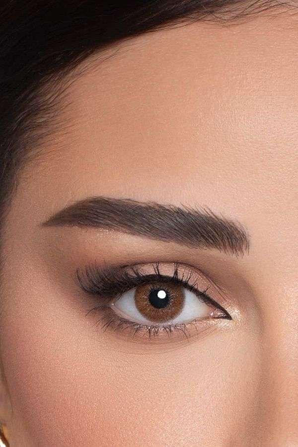 Dream Fancy