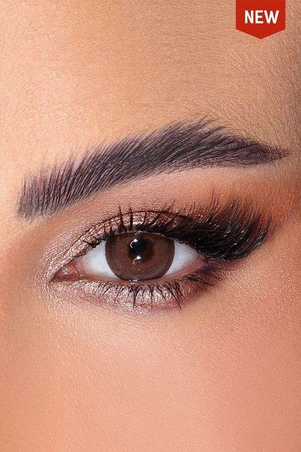 Ginger Bread